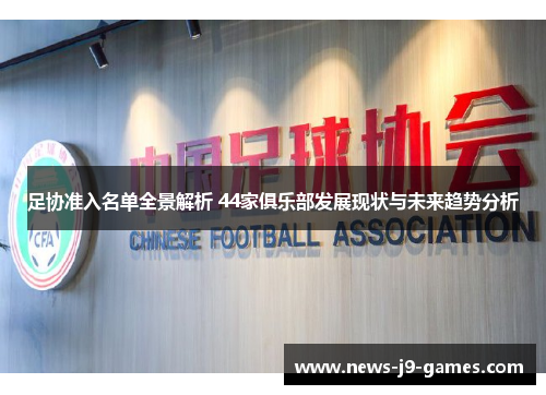 足协准入名单全景解析 44家俱乐部发展现状与未来趋势分析